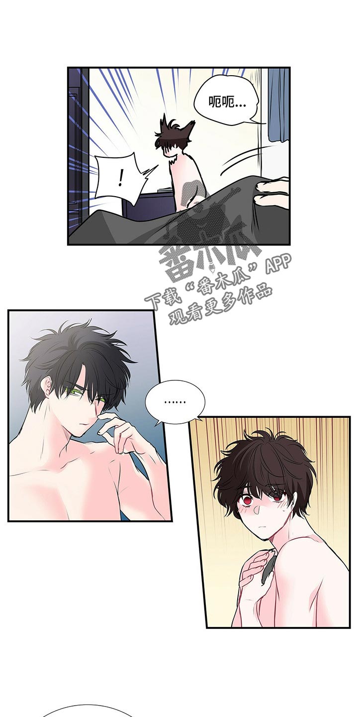 《特别研究》漫画最新章节第113章：后悔免费下拉式在线观看章节第【14】张图片