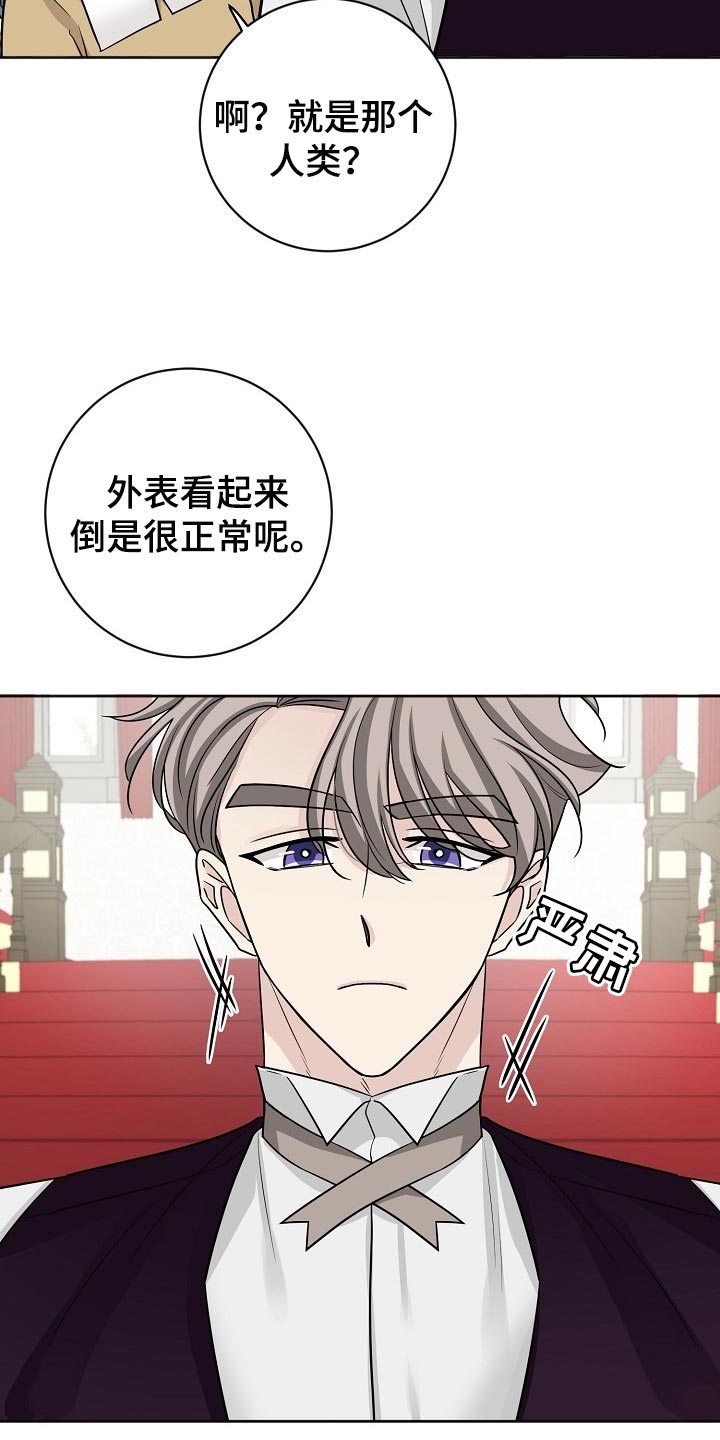 《血族契约》漫画最新章节第34章：宣战免费下拉式在线观看章节第【18】张图片