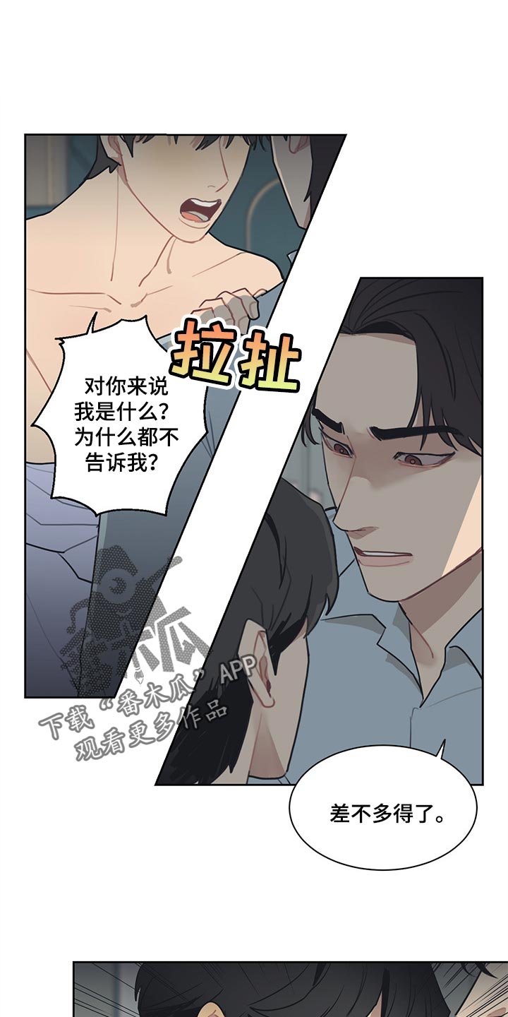 《惹祸上身》漫画最新章节第59章：我明明警告过你免费下拉式在线观看章节第【18】张图片