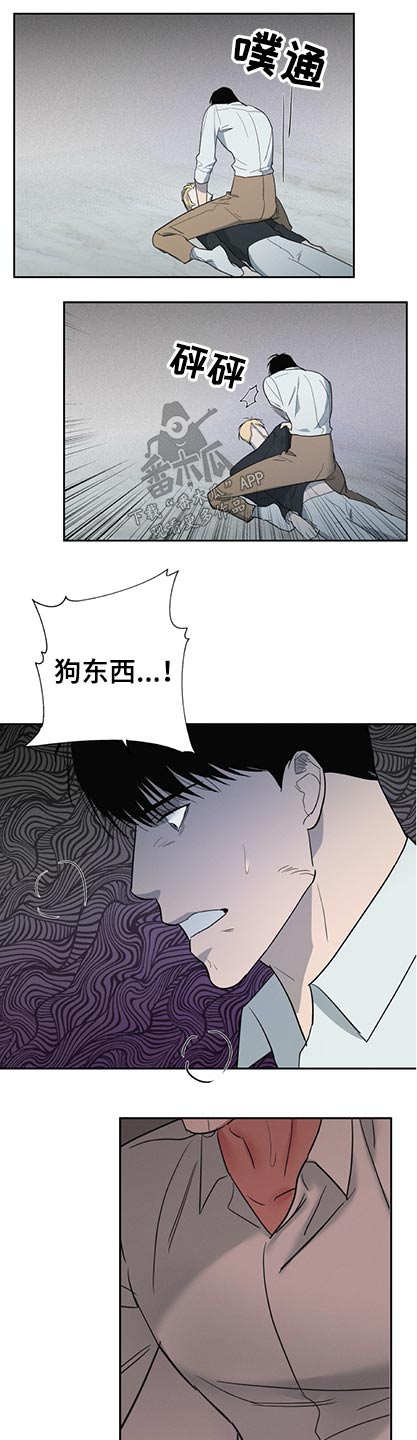 《七日之交》漫画最新章节第47章：第七养子【完结】免费下拉式在线观看章节第【12】张图片