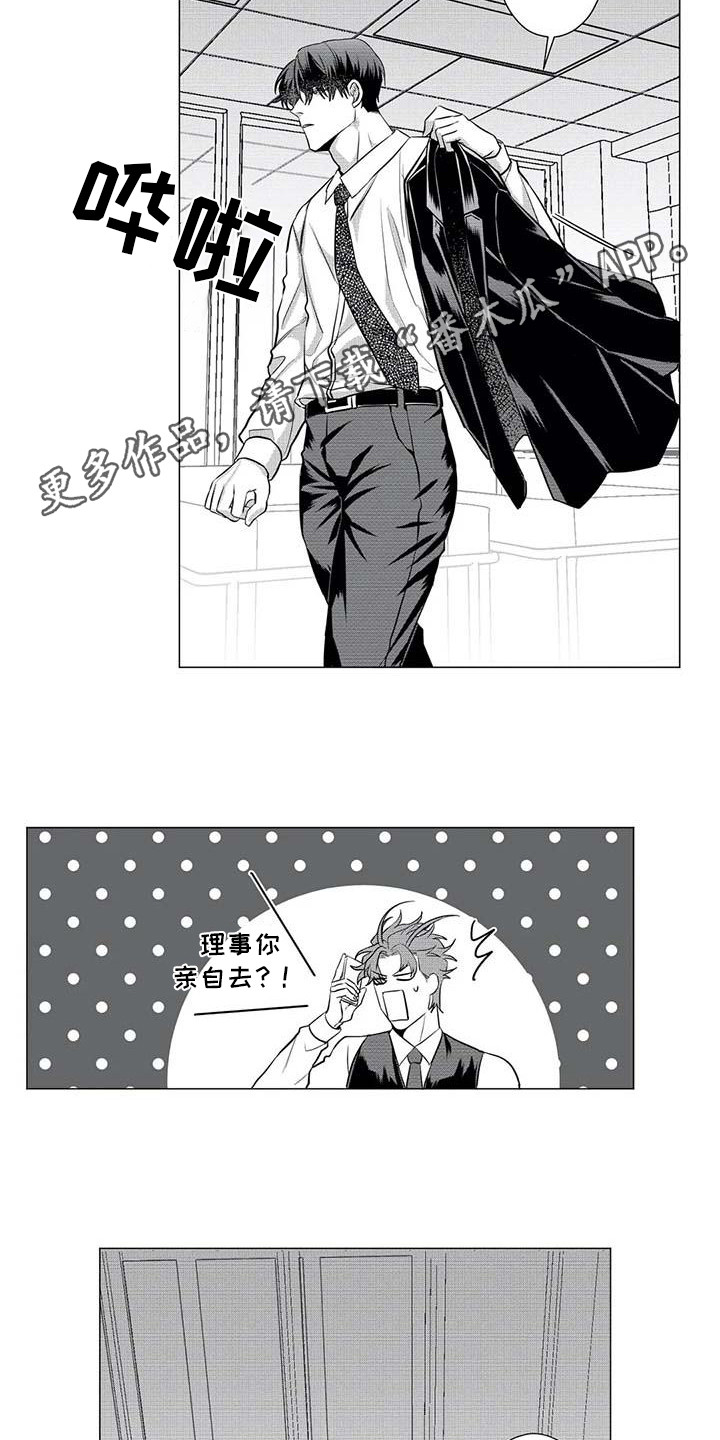 《导演你在哪》漫画最新章节第21章：寻找免费下拉式在线观看章节第【8】张图片