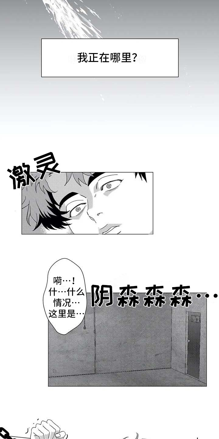 《导演你在哪》漫画最新章节第16章：绑架免费下拉式在线观看章节第【5】张图片