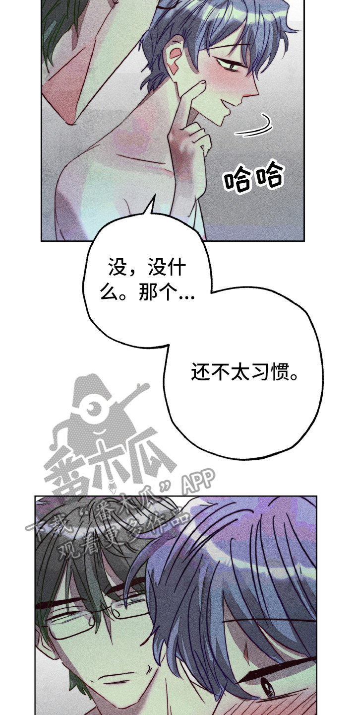 《代替品》漫画最新章节第13章：合照（完结）免费下拉式在线观看章节第【11】张图片