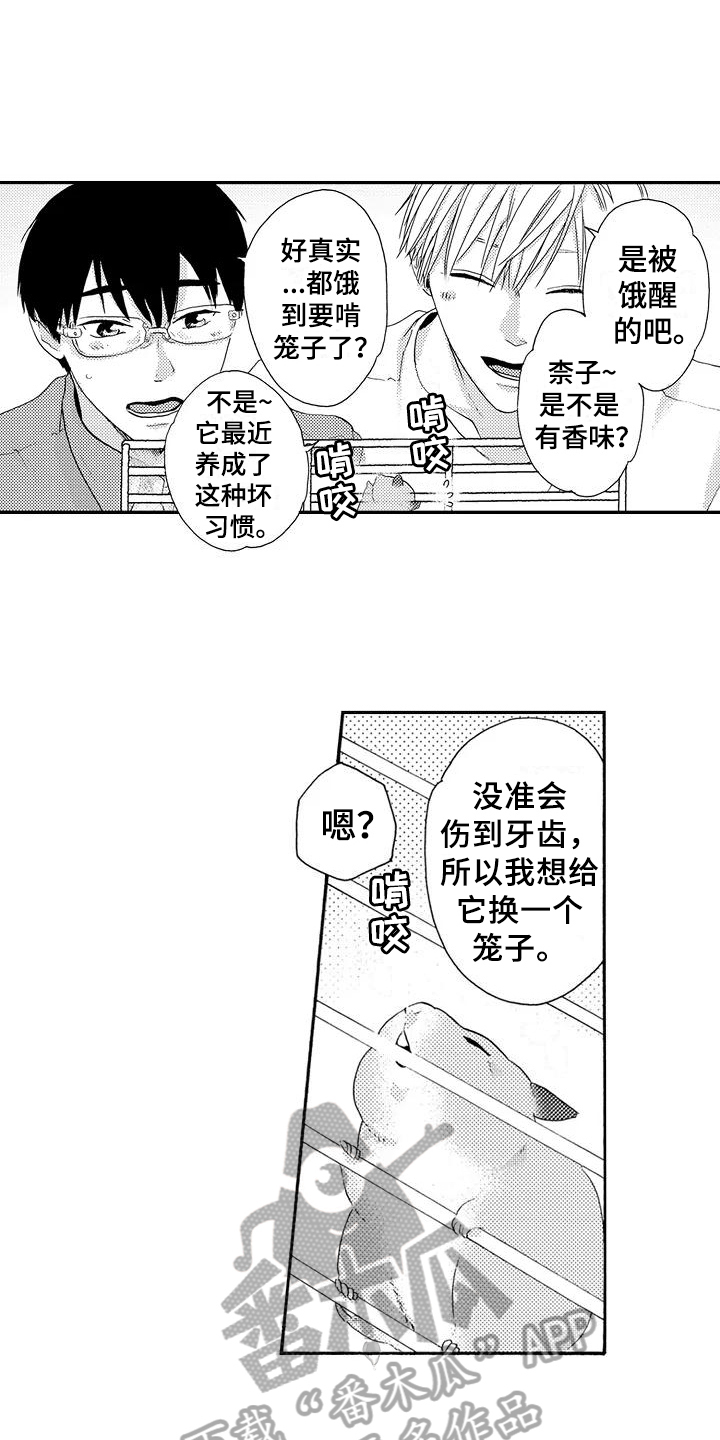 《爱在图书馆》漫画最新章节第17章：做饭免费下拉式在线观看章节第【4】张图片