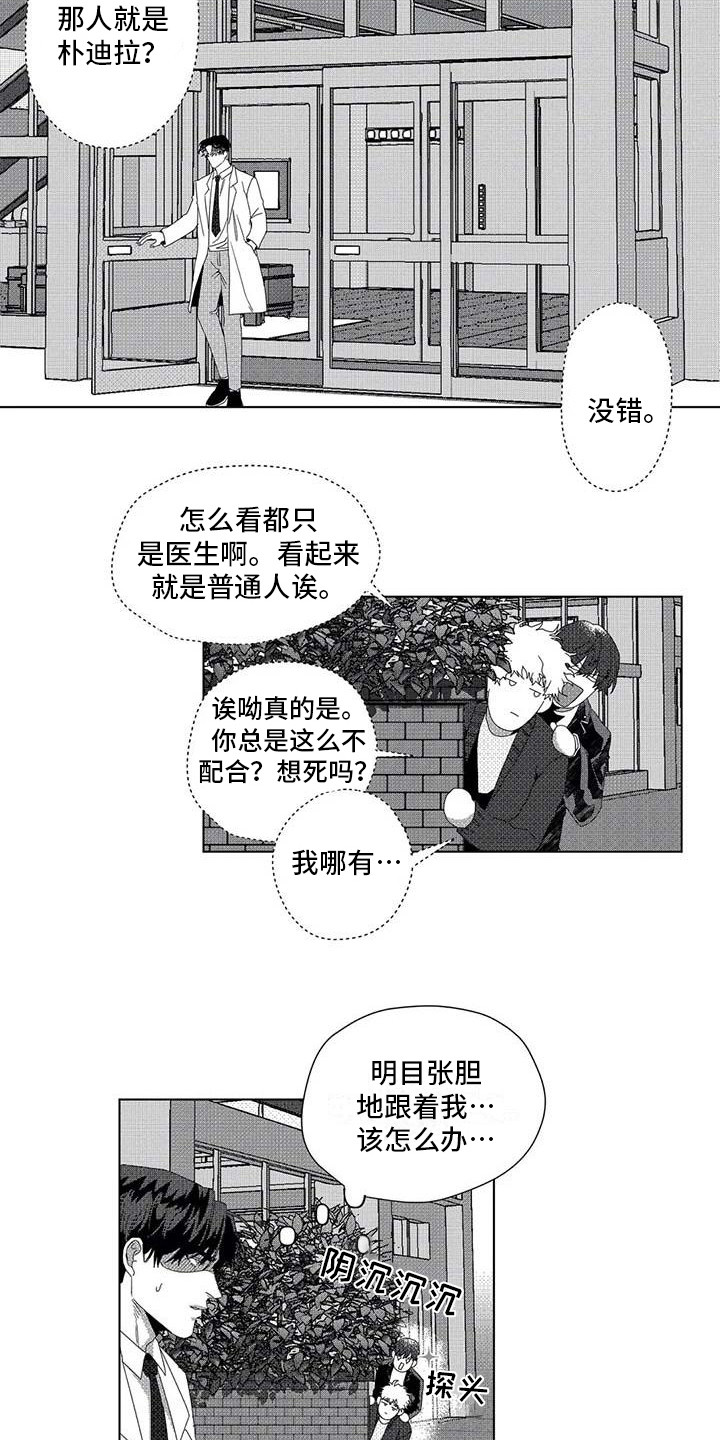 《导演你在哪》漫画最新章节第12章：跟踪免费下拉式在线观看章节第【9】张图片