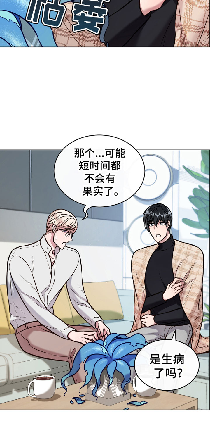 《植物与人》漫画最新章节第12章：心意免费下拉式在线观看章节第【17】张图片