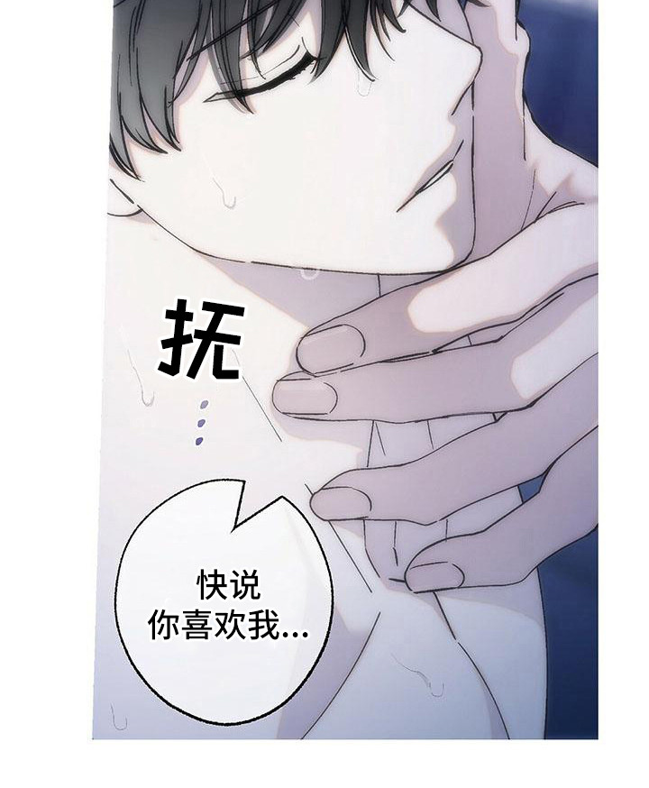 《粉丝书信》漫画最新章节第17章：说你喜欢免费下拉式在线观看章节第【8】张图片