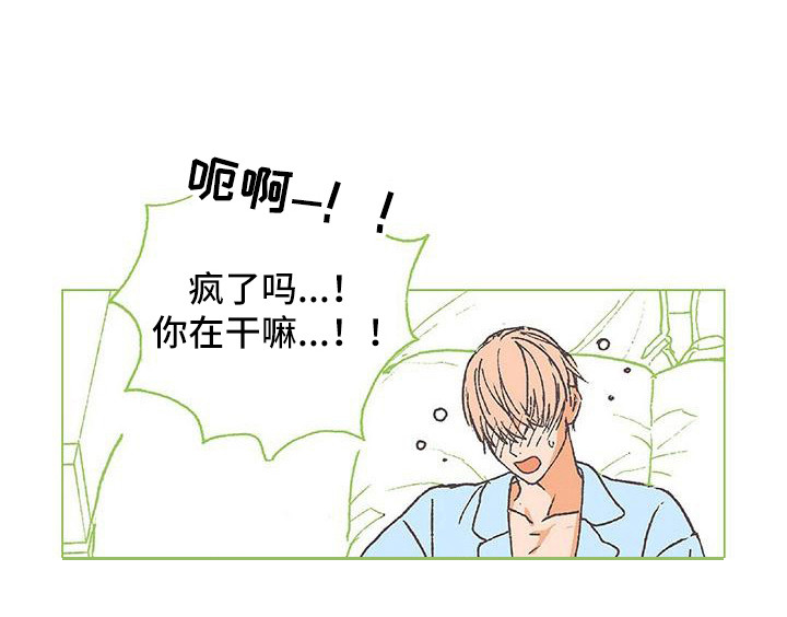 《粉丝书信》漫画最新章节第10章：我行我素免费下拉式在线观看章节第【16】张图片