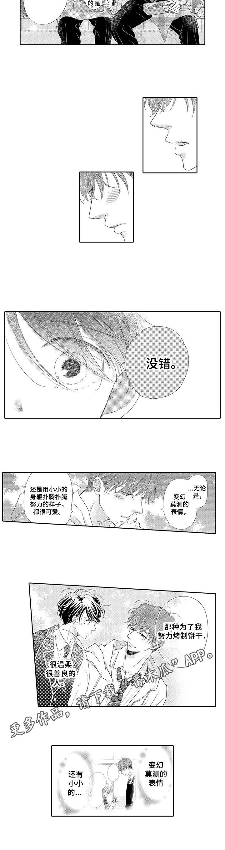 《体质特殊》漫画最新章节第10章：烟花大会免费下拉式在线观看章节第【7】张图片