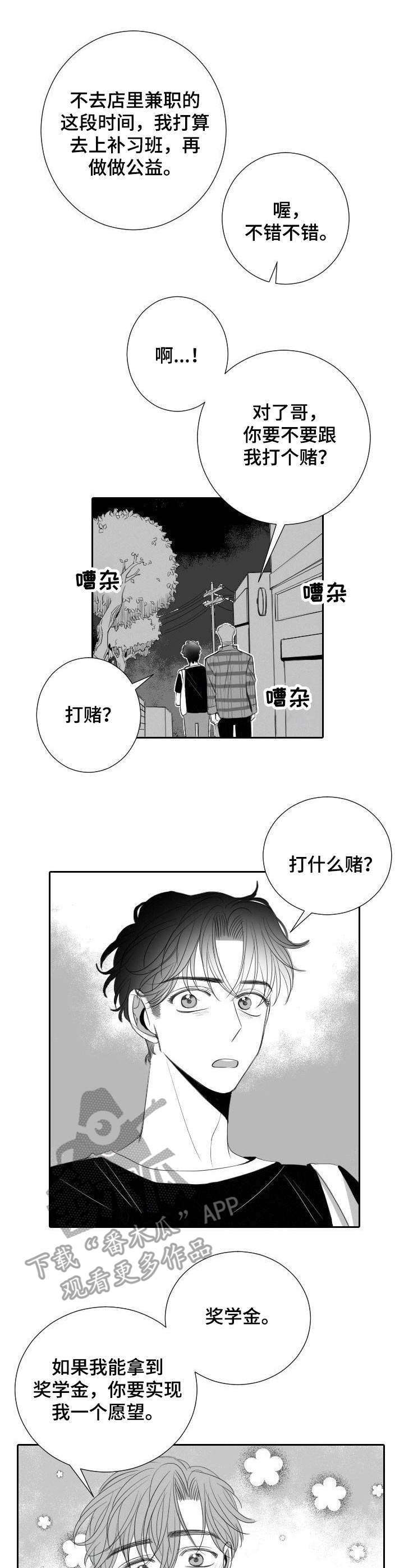 《彗星出租店》漫画最新章节第33章：打赌免费下拉式在线观看章节第【11】张图片