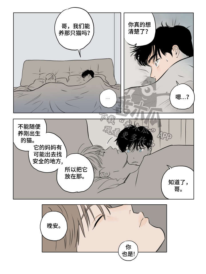 《音波》漫画最新章节第19章：保持可爱（完结）免费下拉式在线观看章节第【4】张图片