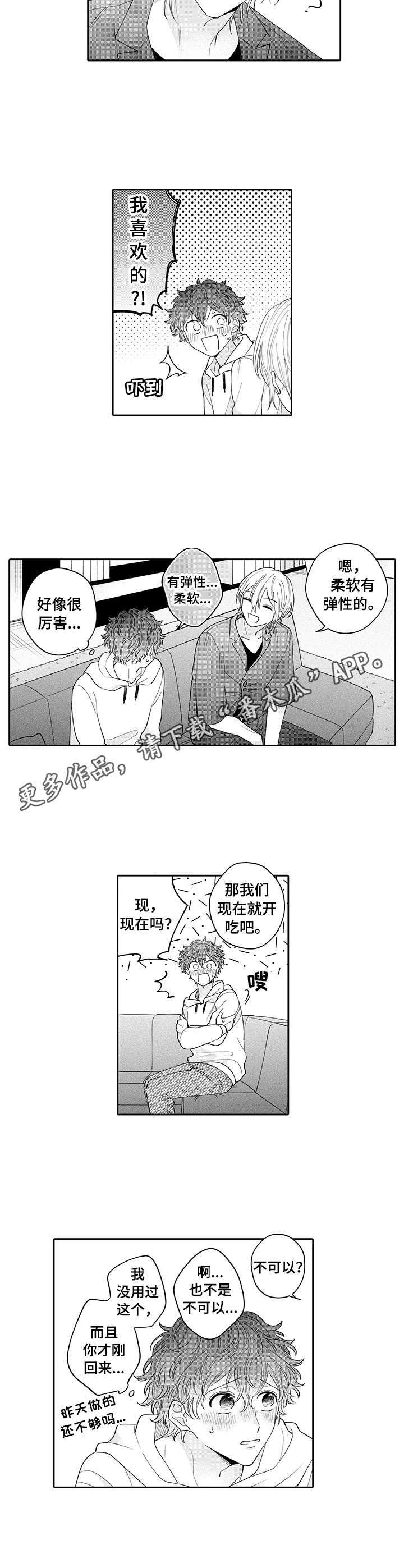 《偶像秘密》漫画最新章节第18章：玩具免费下拉式在线观看章节第【9】张图片