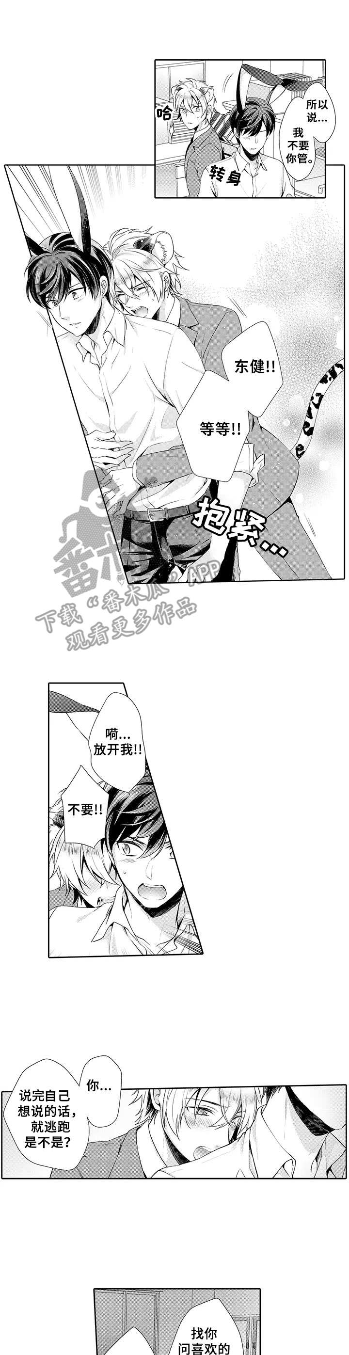 《肉食系守则》漫画最新章节第15章：表白免费下拉式在线观看章节第【8】张图片