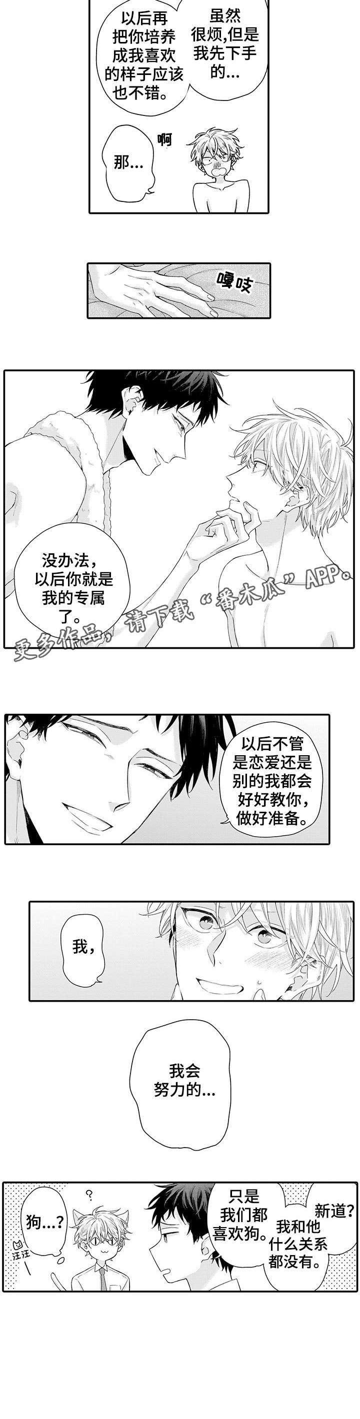 《我和经理之间》漫画最新章节第6章：该死的免费下拉式在线观看章节第【6】张图片