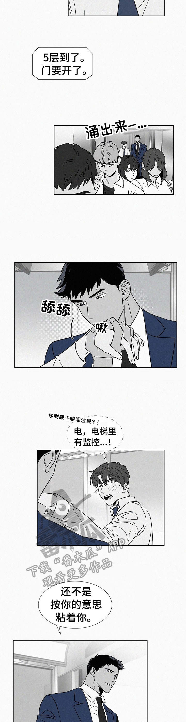 《狂野美丽》漫画最新章节第36章：牵着鼻子走免费下拉式在线观看章节第【4】张图片