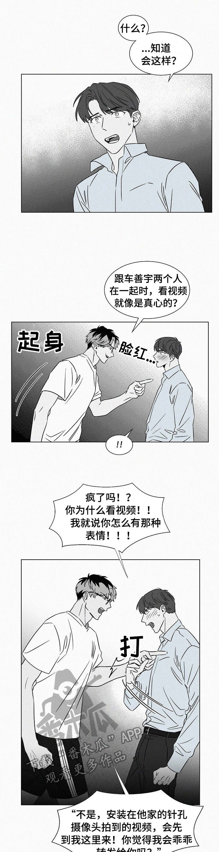 《狂野美丽》漫画最新章节第40章：任务免费下拉式在线观看章节第【9】张图片