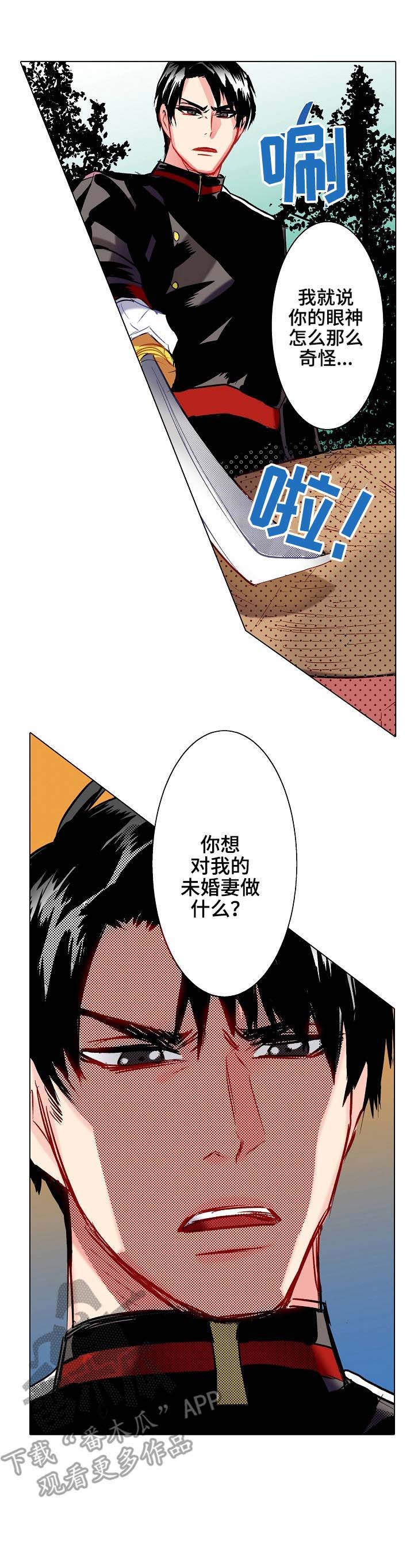 《战略联姻》漫画最新章节第16章：歹人免费下拉式在线观看章节第【1】张图片