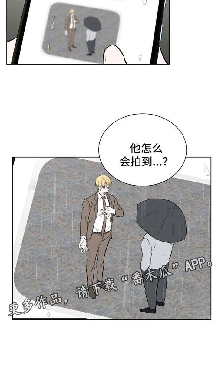 《一触即发》漫画最新章节第44章：照片免费下拉式在线观看章节第【1】张图片