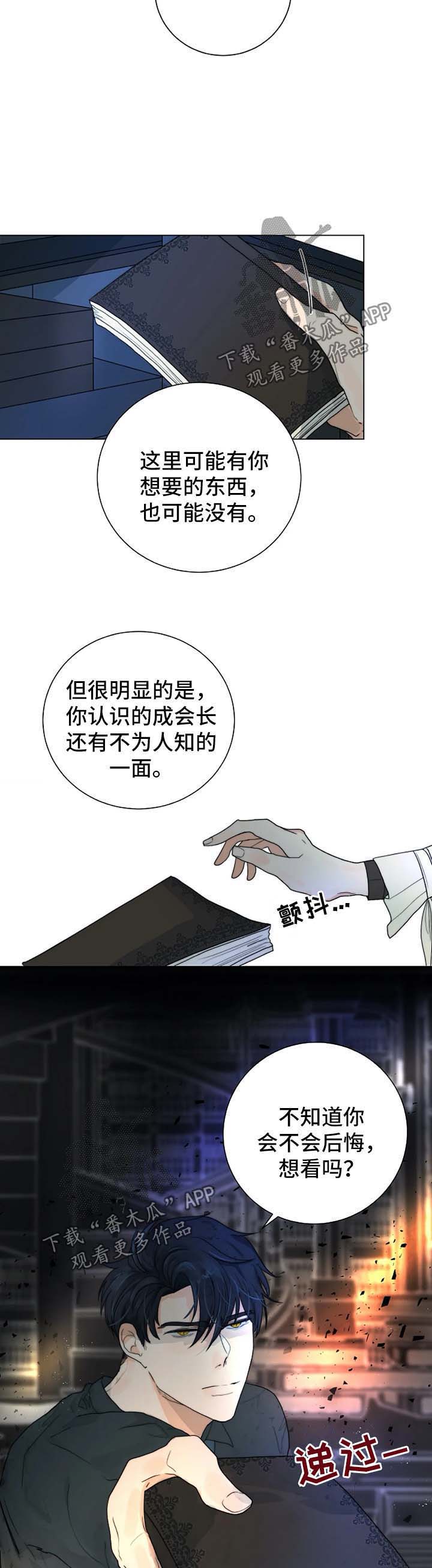 《目标狩猎》漫画最新章节第33章：账本免费下拉式在线观看章节第【8】张图片