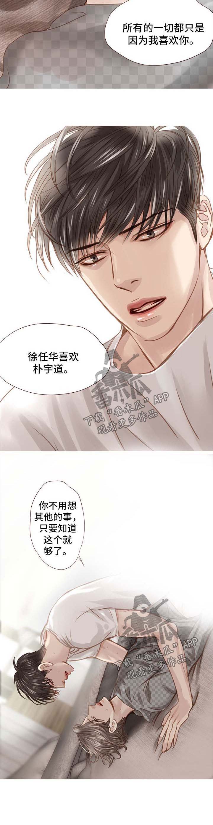 《轻狂年少》漫画最新章节第37章：只是因为喜欢你免费下拉式在线观看章节第【1】张图片