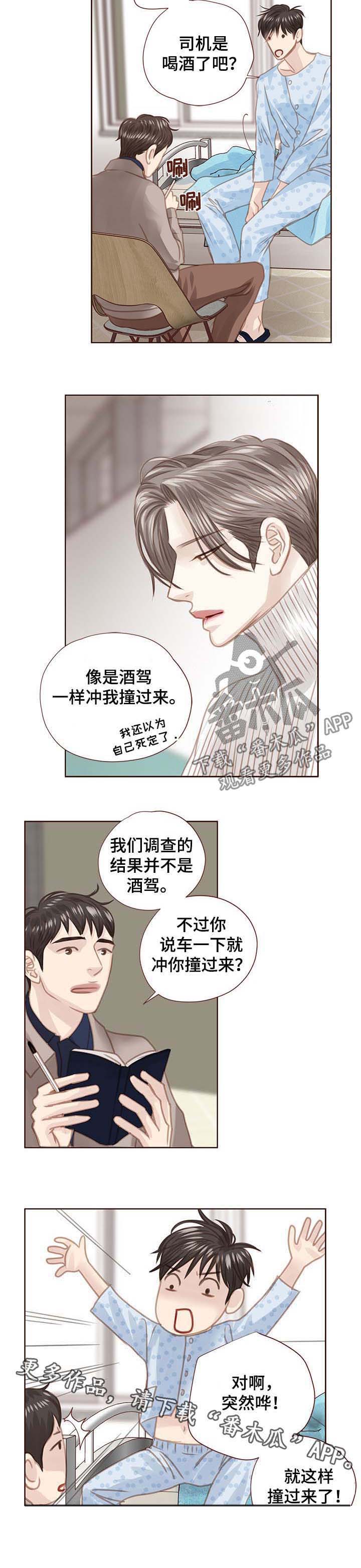 《轻狂年少》漫画最新章节第84章：调查结果免费下拉式在线观看章节第【1】张图片