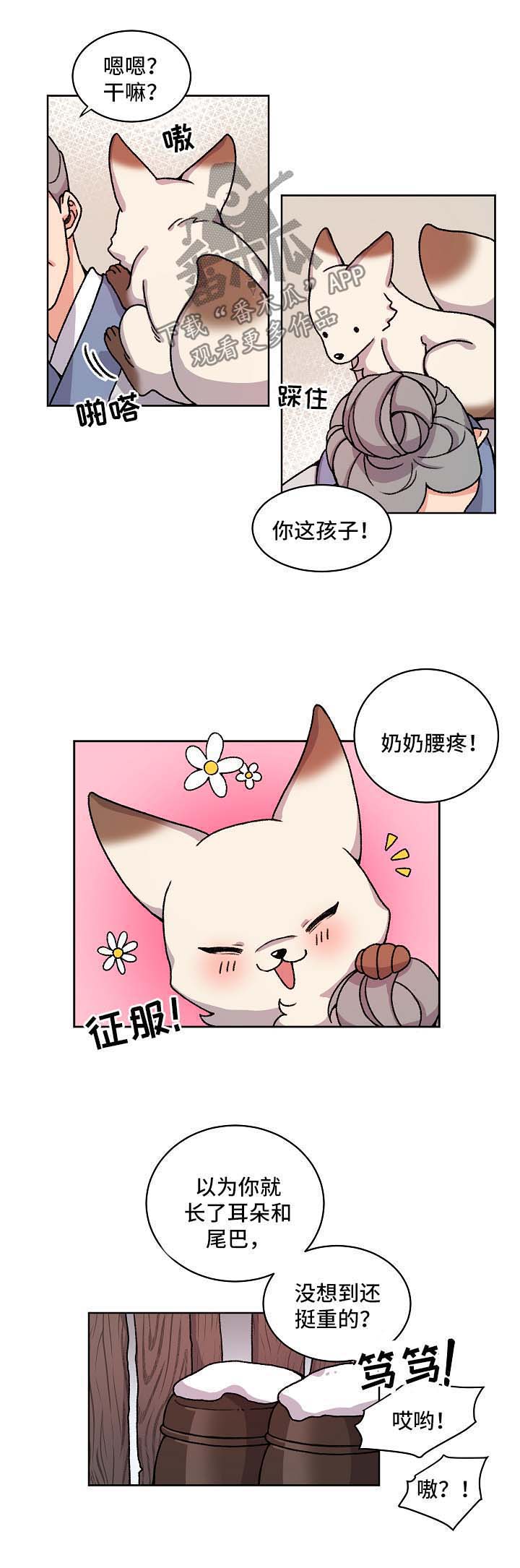 《狐狼变》漫画最新章节第31章：宝贝免费下拉式在线观看章节第【6】张图片