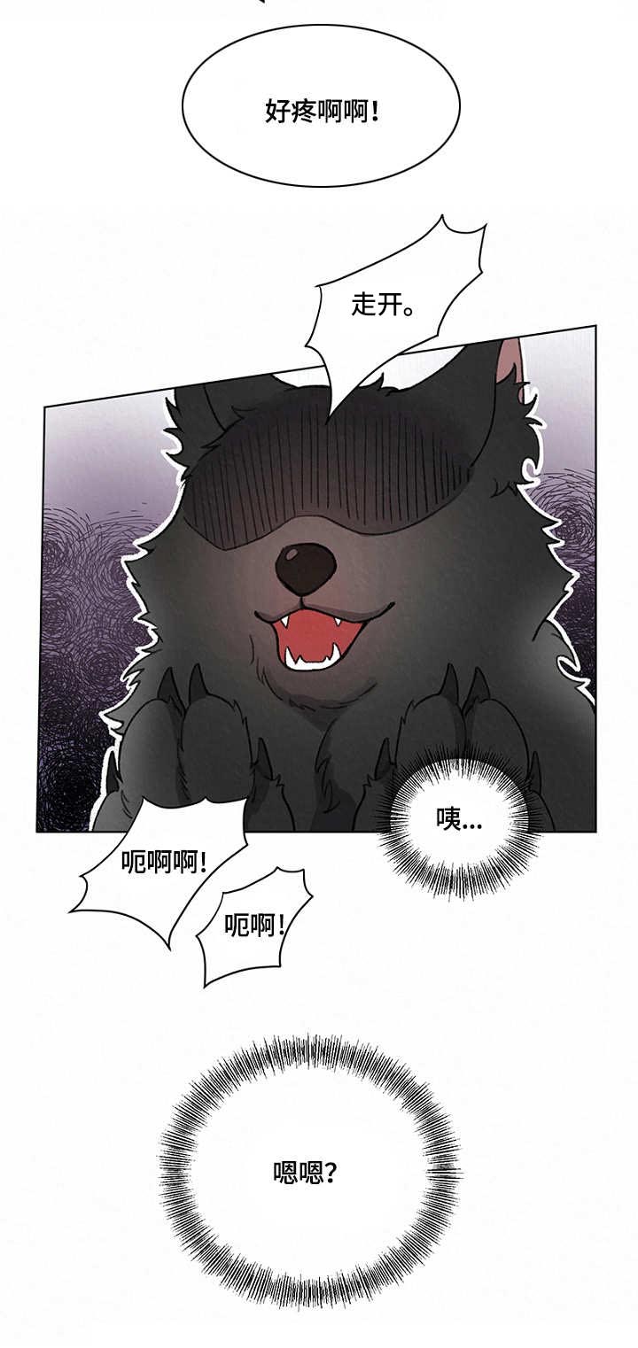 《狐狼变》漫画最新章节第6章：狼免费下拉式在线观看章节第【5】张图片