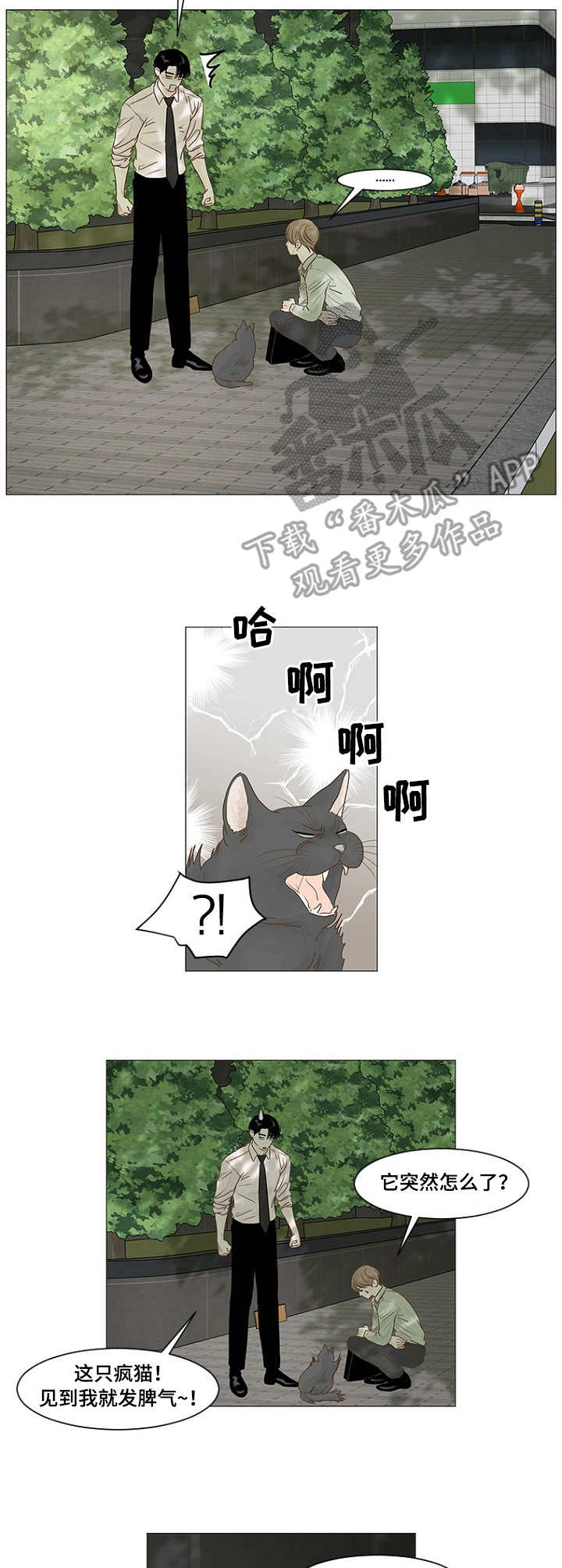 《秘密之间》漫画最新章节第29章：小福球免费下拉式在线观看章节第【9】张图片