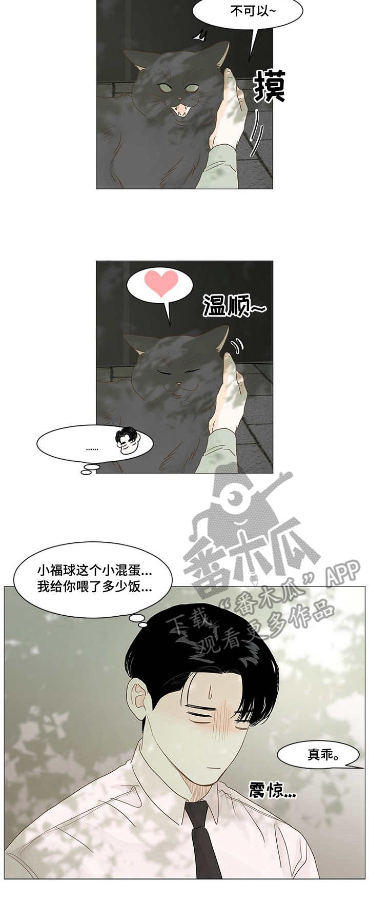 《秘密之间》漫画最新章节第29章：小福球免费下拉式在线观看章节第【8】张图片