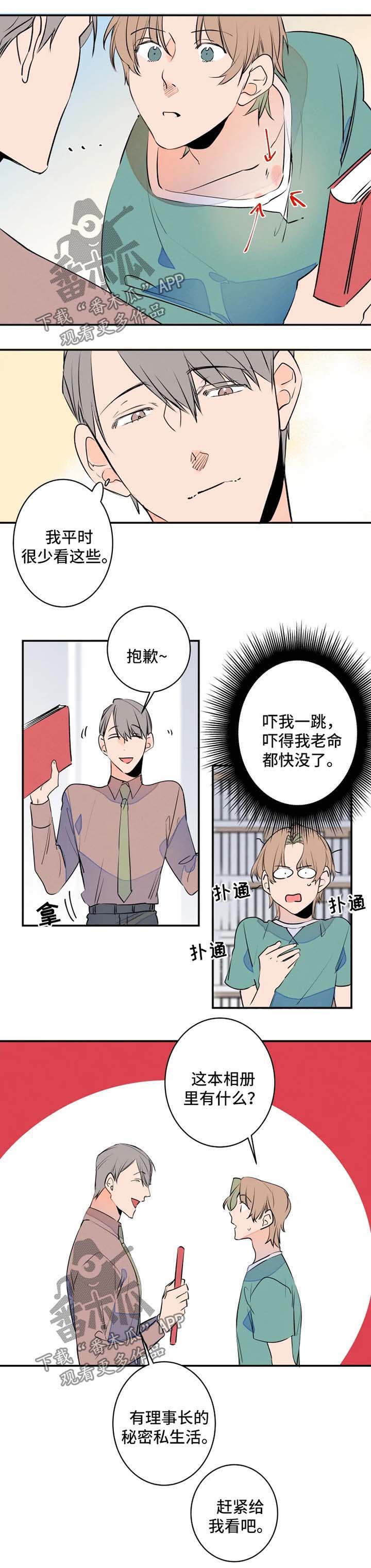 《结婚合约》漫画最新章节第39章：照片分享免费下拉式在线观看章节第【6】张图片