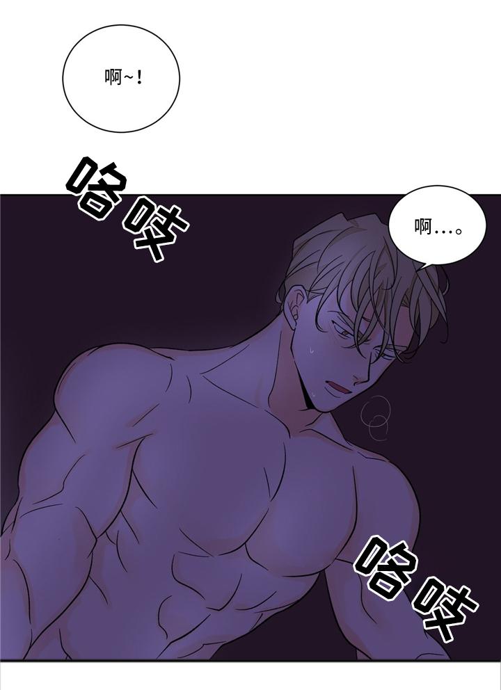 《我的医生》漫画最新章节第40章：意外惊喜免费下拉式在线观看章节第【5】张图片