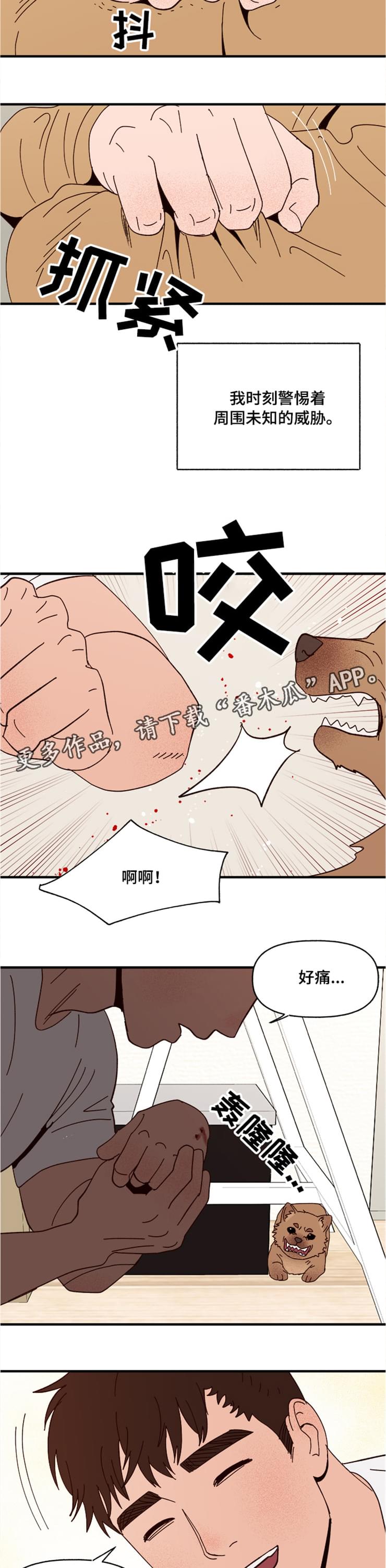 《爱宠攻略》漫画最新章节第18章：回忆免费下拉式在线观看章节第【5】张图片