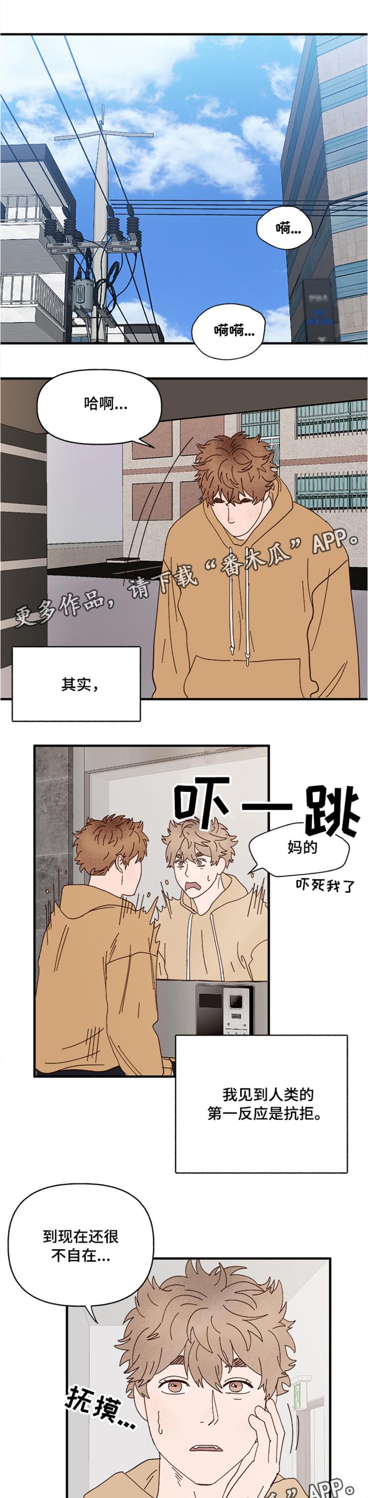 《爱宠攻略》漫画最新章节第18章：回忆免费下拉式在线观看章节第【8】张图片