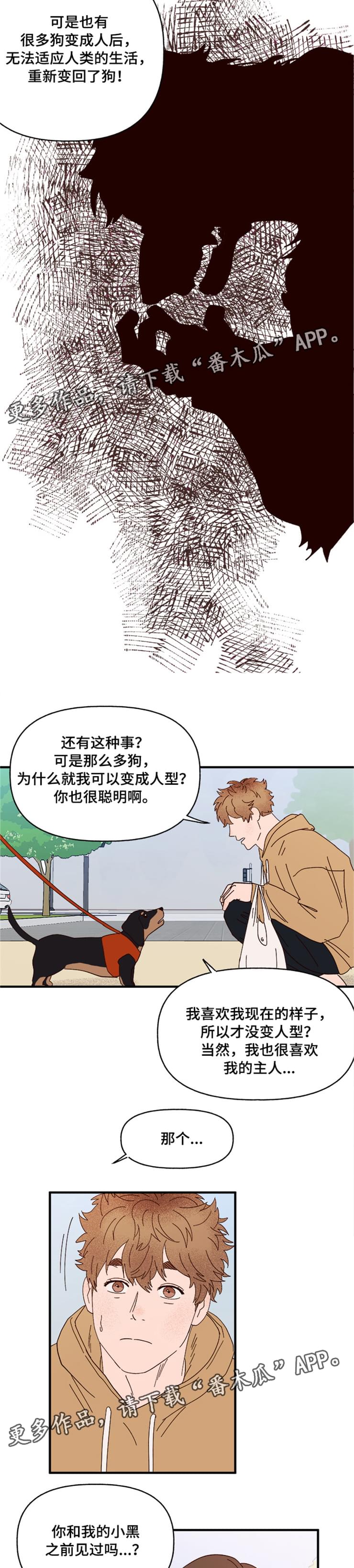 《爱宠攻略》漫画最新章节第17章：传说免费下拉式在线观看章节第【2】张图片