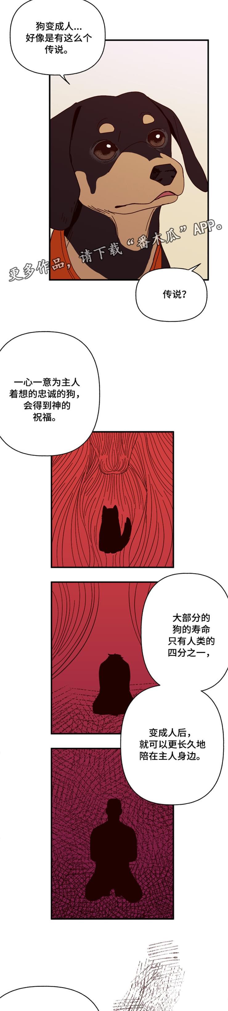 《爱宠攻略》漫画最新章节第17章：传说免费下拉式在线观看章节第【3】张图片