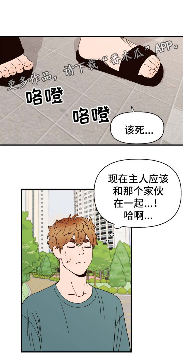 《爱宠攻略》漫画最新章节第29章：狗神免费下拉式在线观看章节第【12】张图片