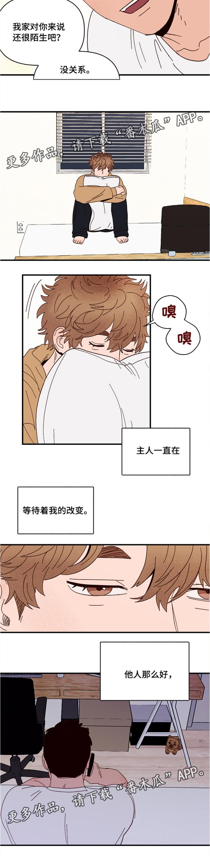 《爱宠攻略》漫画最新章节第18章：回忆免费下拉式在线观看章节第【4】张图片