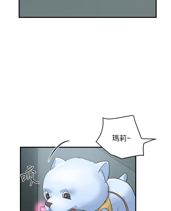 《行走费洛蒙》漫画最新章节第75话免费下拉式在线观看章节第【9】张图片