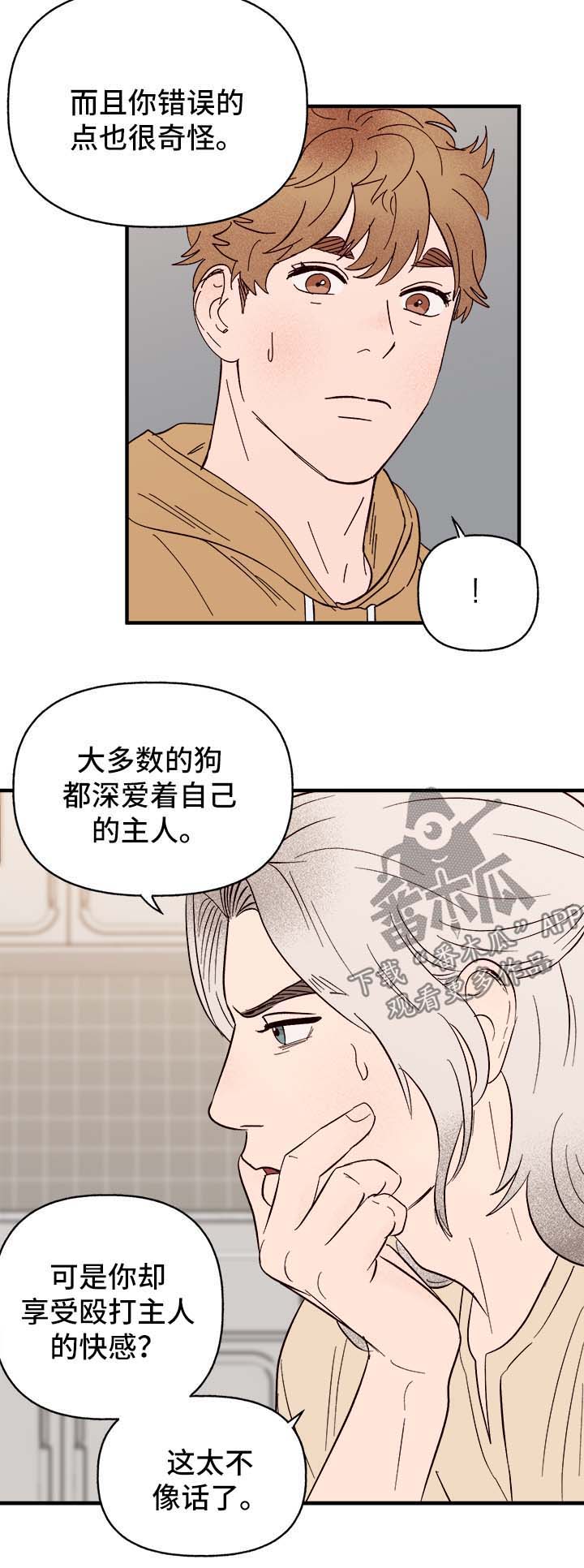 《爱宠攻略》漫画最新章节第33章：忠告免费下拉式在线观看章节第【6】张图片