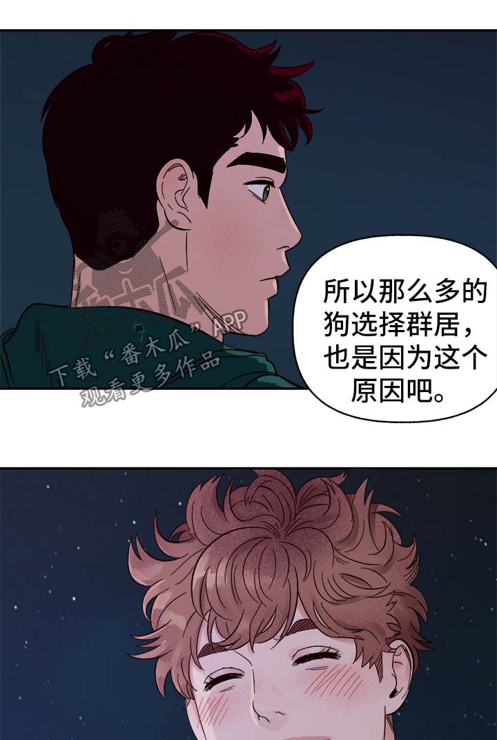 《爱宠攻略》漫画最新章节第36章：和我在一起免费下拉式在线观看章节第【10】张图片