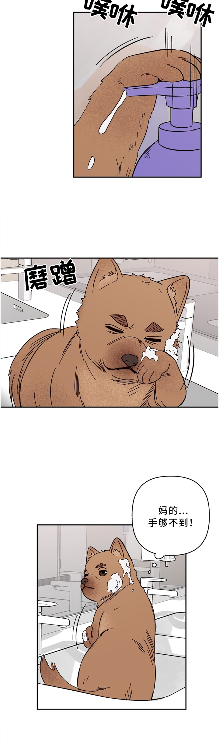 《爱宠攻略》漫画最新章节第58章：聪明的\