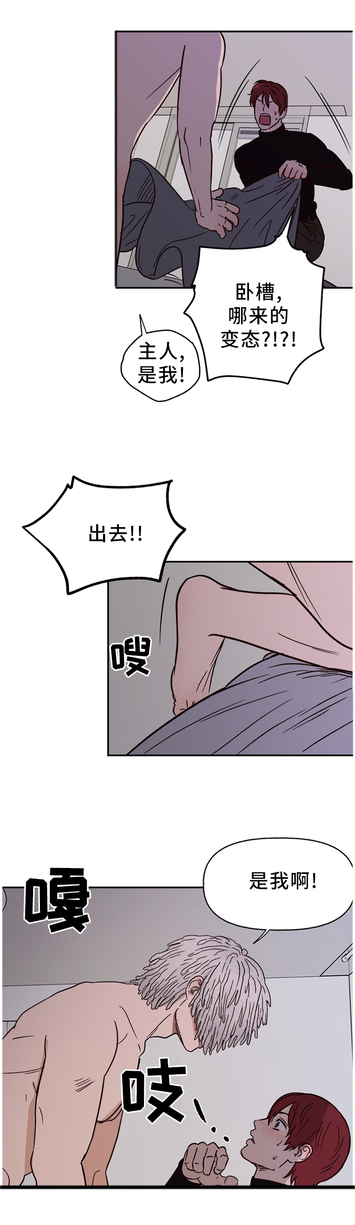 《爱宠攻略》漫画最新章节第66章：【番外】报警免费下拉式在线观看章节第【12】张图片