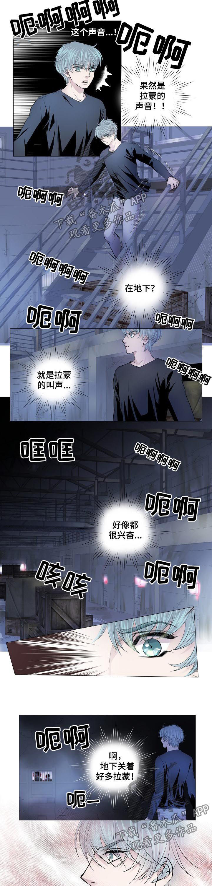 《渴望之血》漫画最新章节第146章：互相残杀免费下拉式在线观看章节第【3】张图片