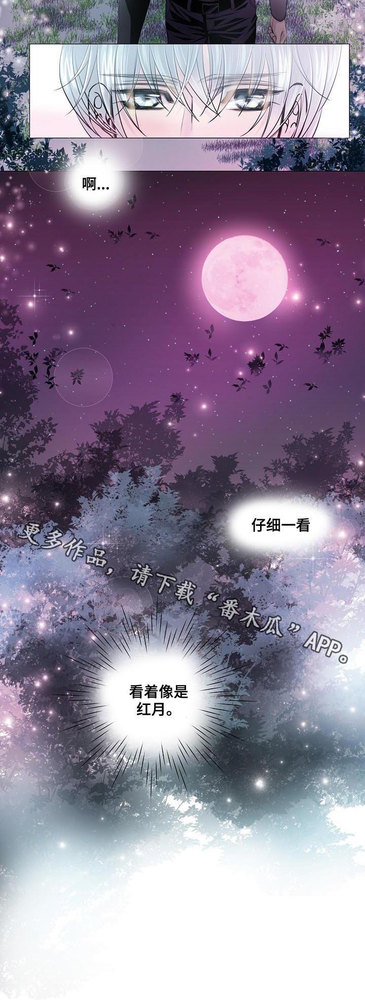 《渴望之血》漫画最新章节第143章：密谋免费下拉式在线观看章节第【1】张图片