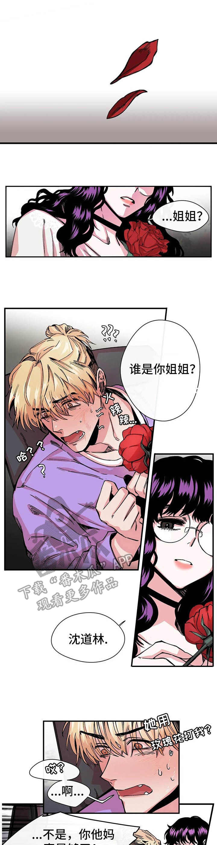 《刺玫瑰》漫画最新章节第11章：心惊免费下拉式在线观看章节第【12】张图片