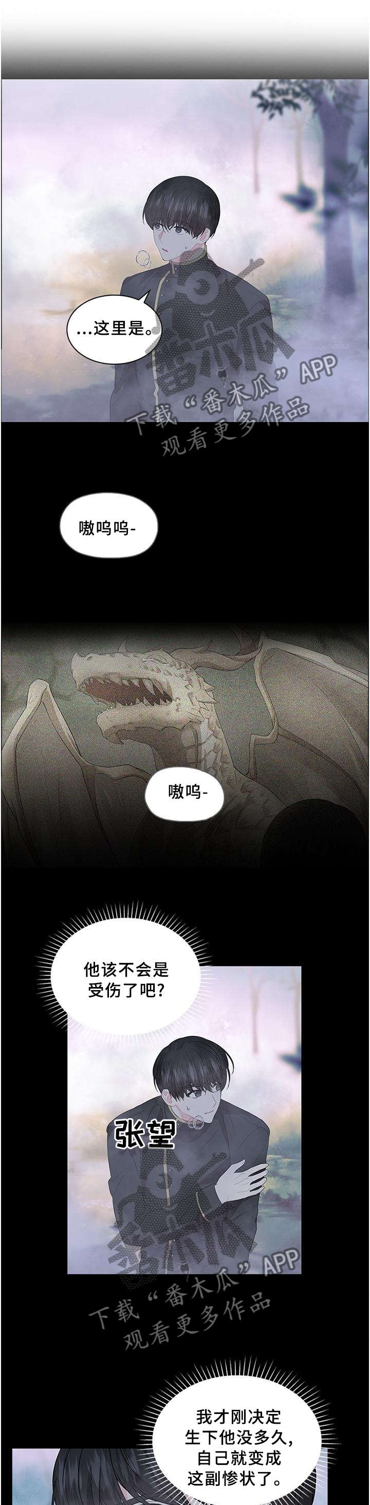 《皇室血脉》漫画最新章节第70章：孩子是我的免费下拉式在线观看章节第【6】张图片