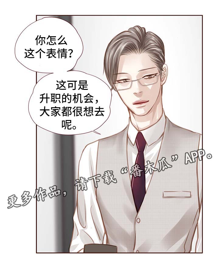 《轻狂年少》漫画最新章节第31章：吻你免费下拉式在线观看章节第【20】张图片