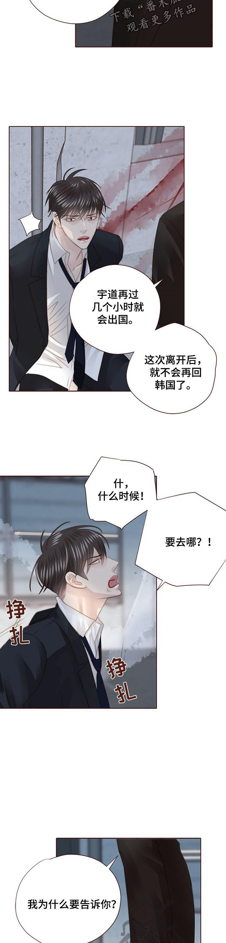 《轻狂年少》漫画最新章节第115章：出国免费下拉式在线观看章节第【11】张图片