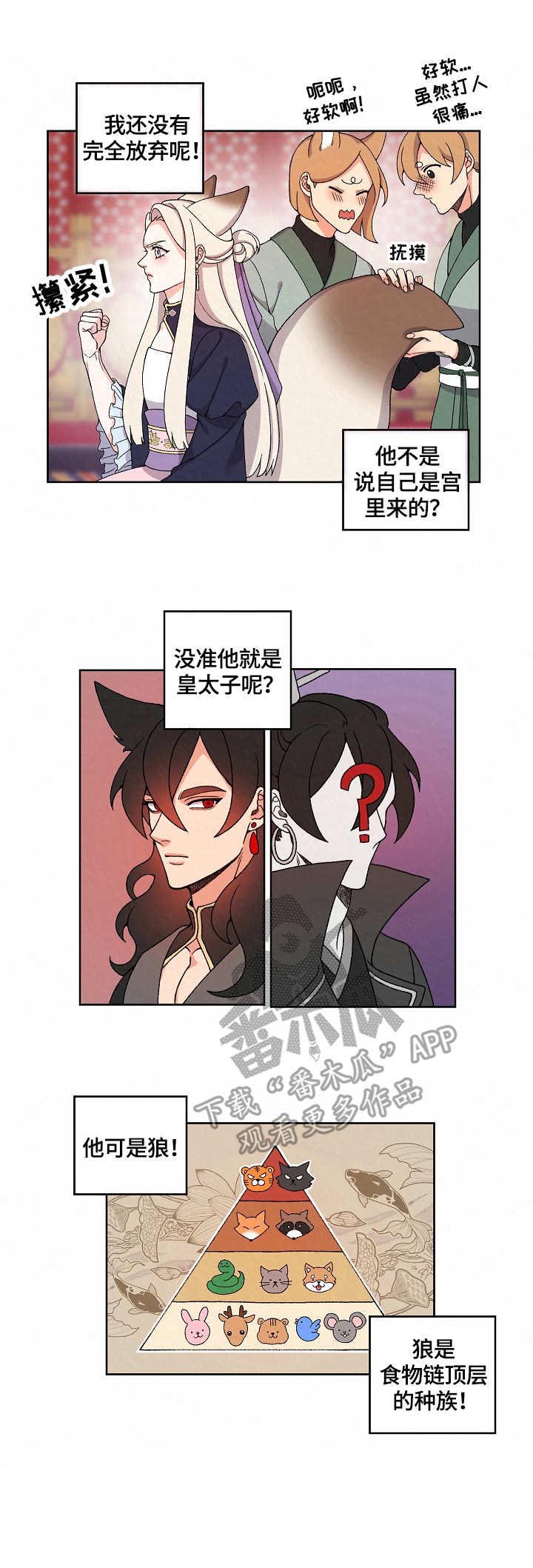 《狐狼变》漫画最新章节第15章：入宫免费下拉式在线观看章节第【1】张图片