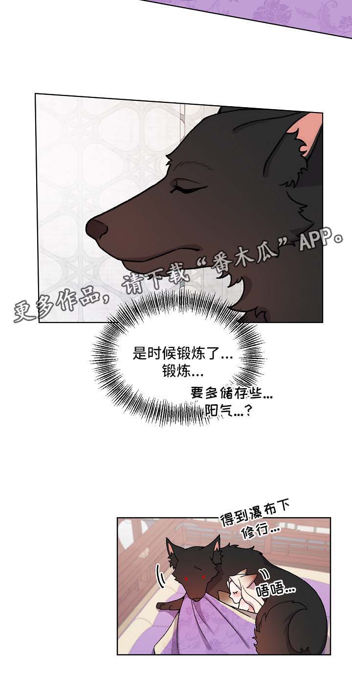 《狐狼变》漫画最新章节第20章：要修炼免费下拉式在线观看章节第【6】张图片